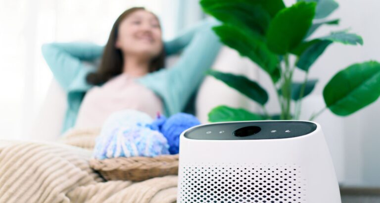 Best air purifiers for pets and allergies