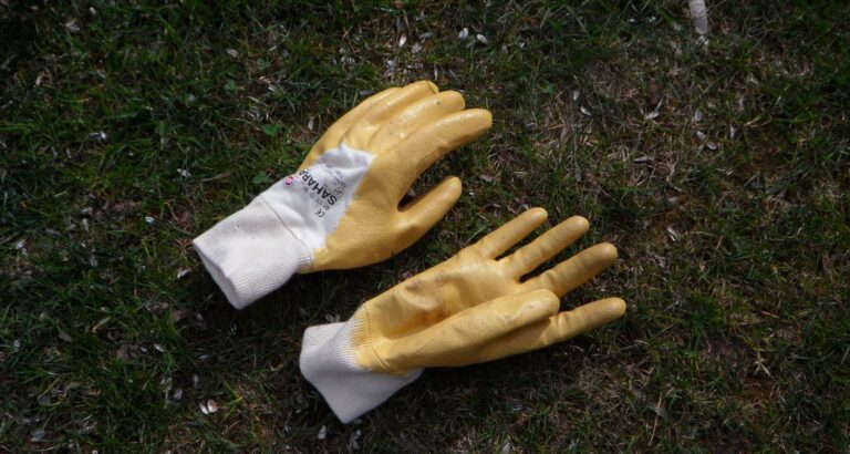 Best gardening gloves for men