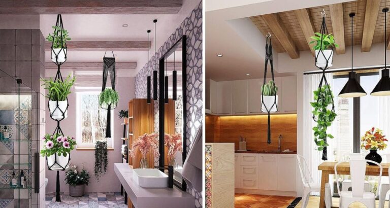 Ceiling Plant Hangers