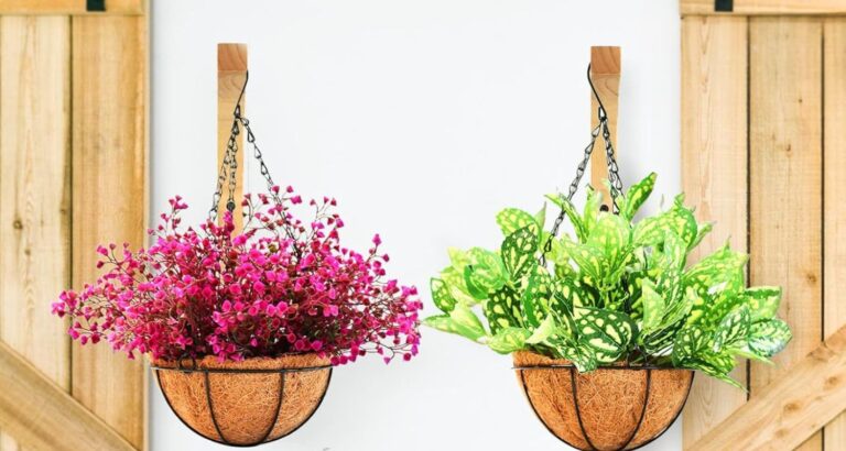 Ceiling Hooks for Hanging Plants